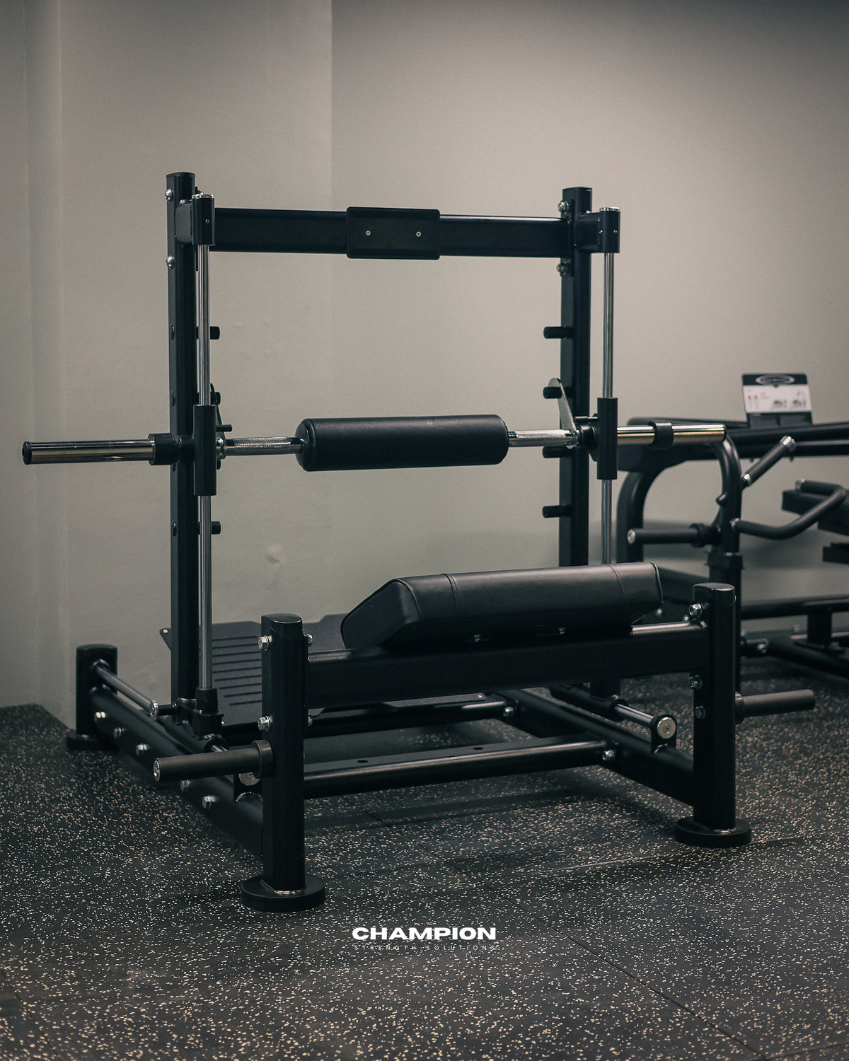 3D Hip Bridge (Momentum)