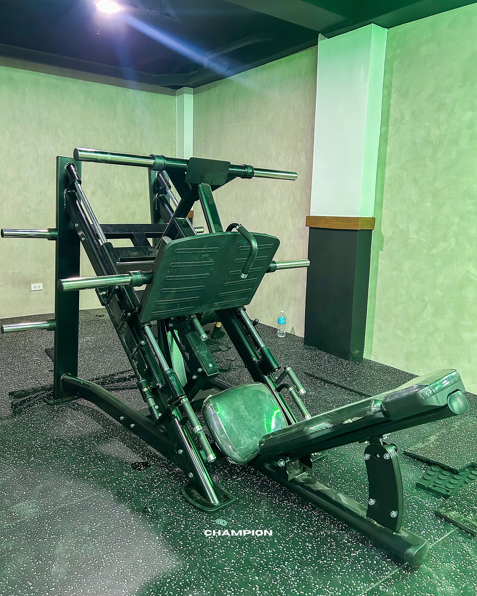 45 Degree Leg Press (Momentum)