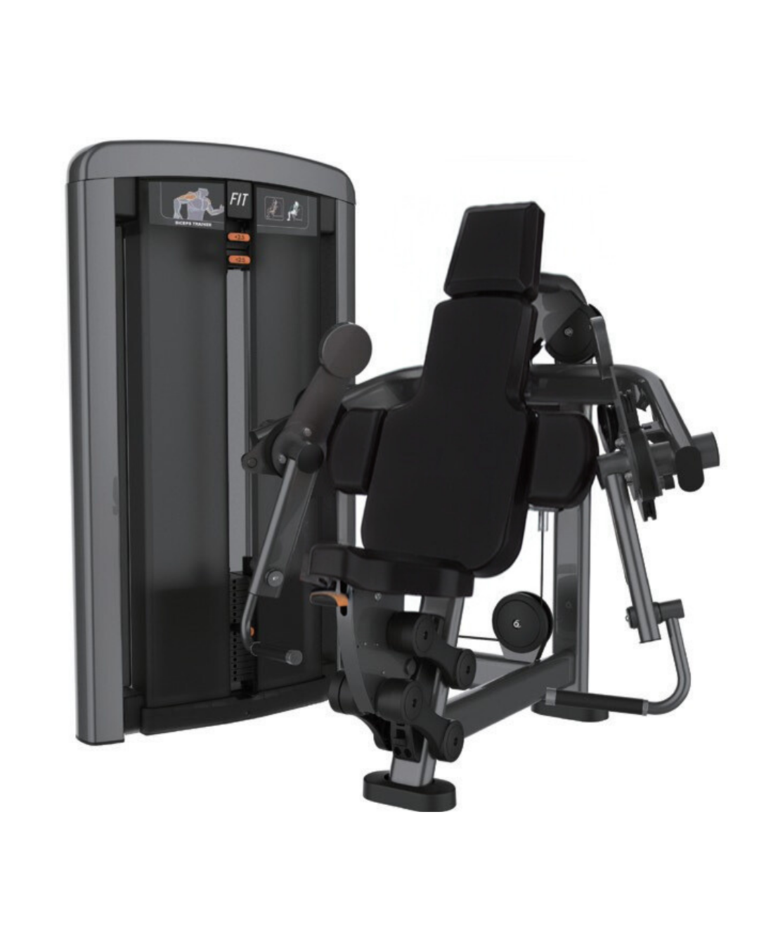 Bicep Curl Machine