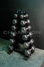 Hex Dumbbells Set (5 lbs. to 30 Lbs.)