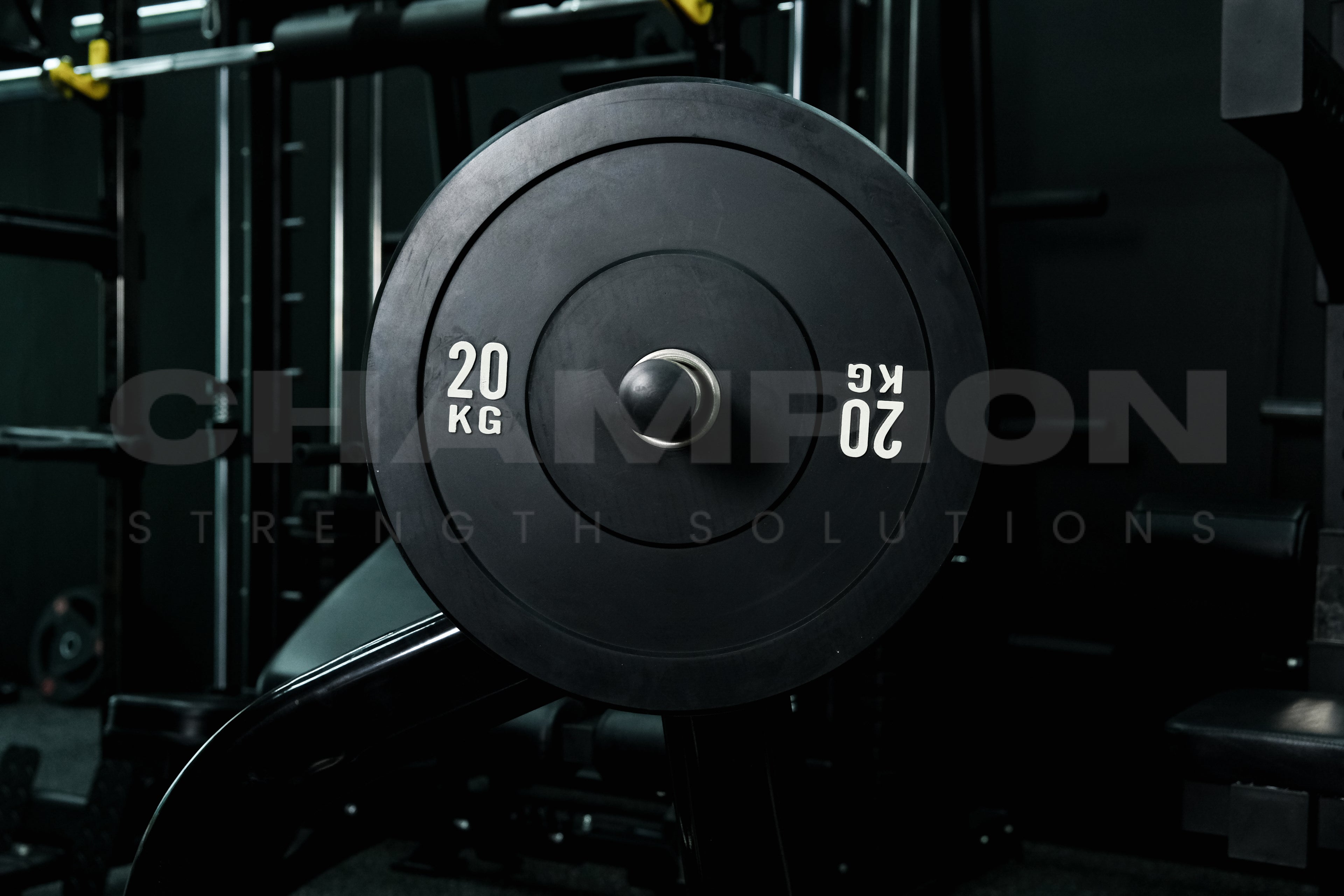 Bumper Plates