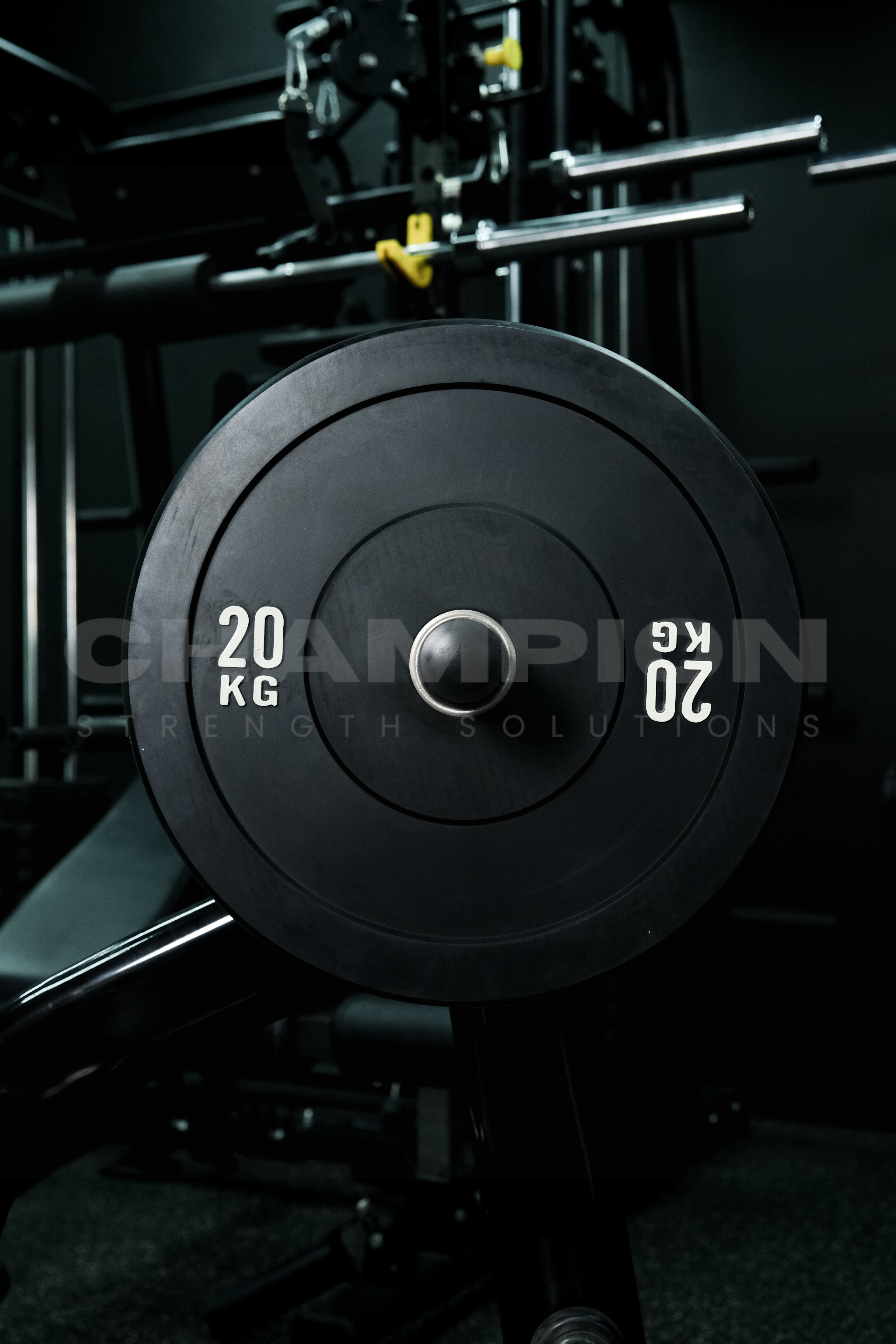 Bumper Plates