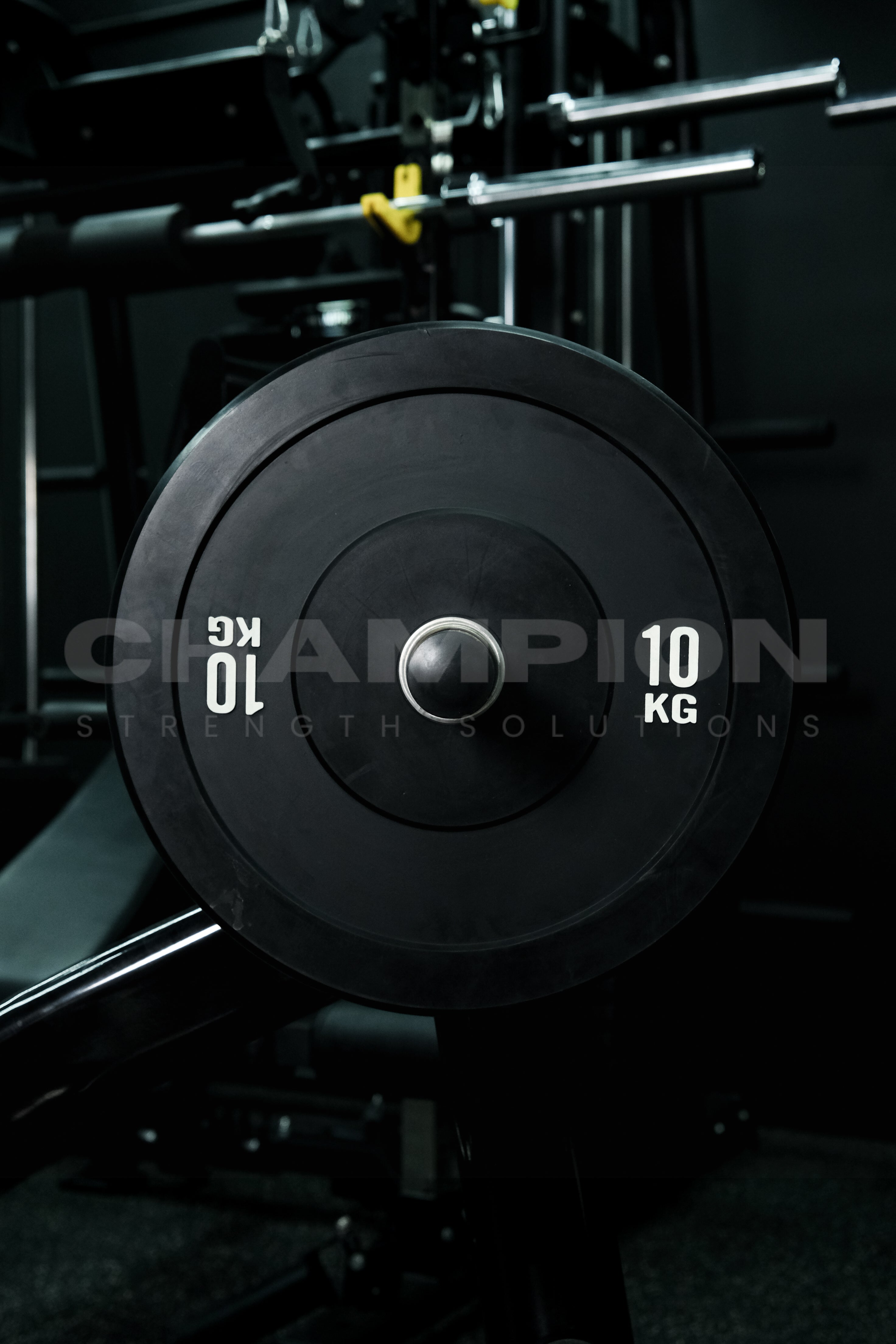 Bumper Plates