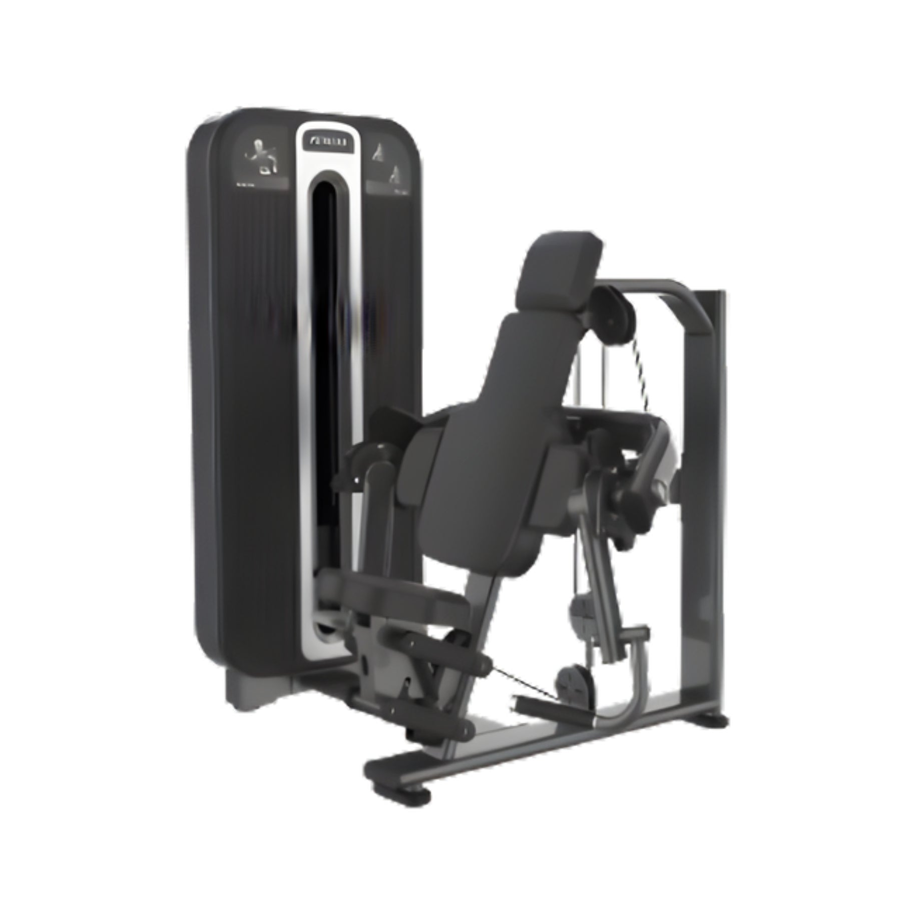 Biceps Exercise (Prime)