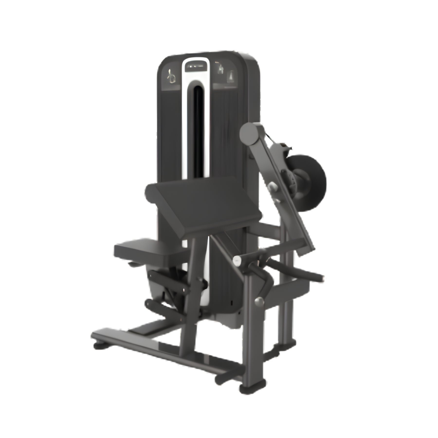 Biceps and Triceps Extension (Prime)
