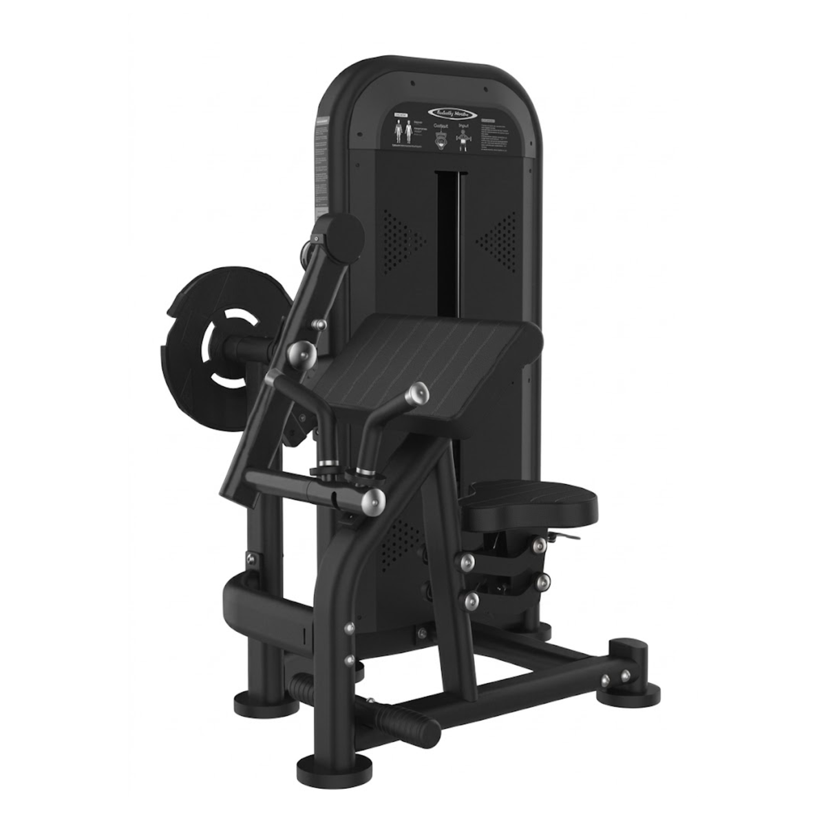 Bicep and Tricep Extension (Summit)