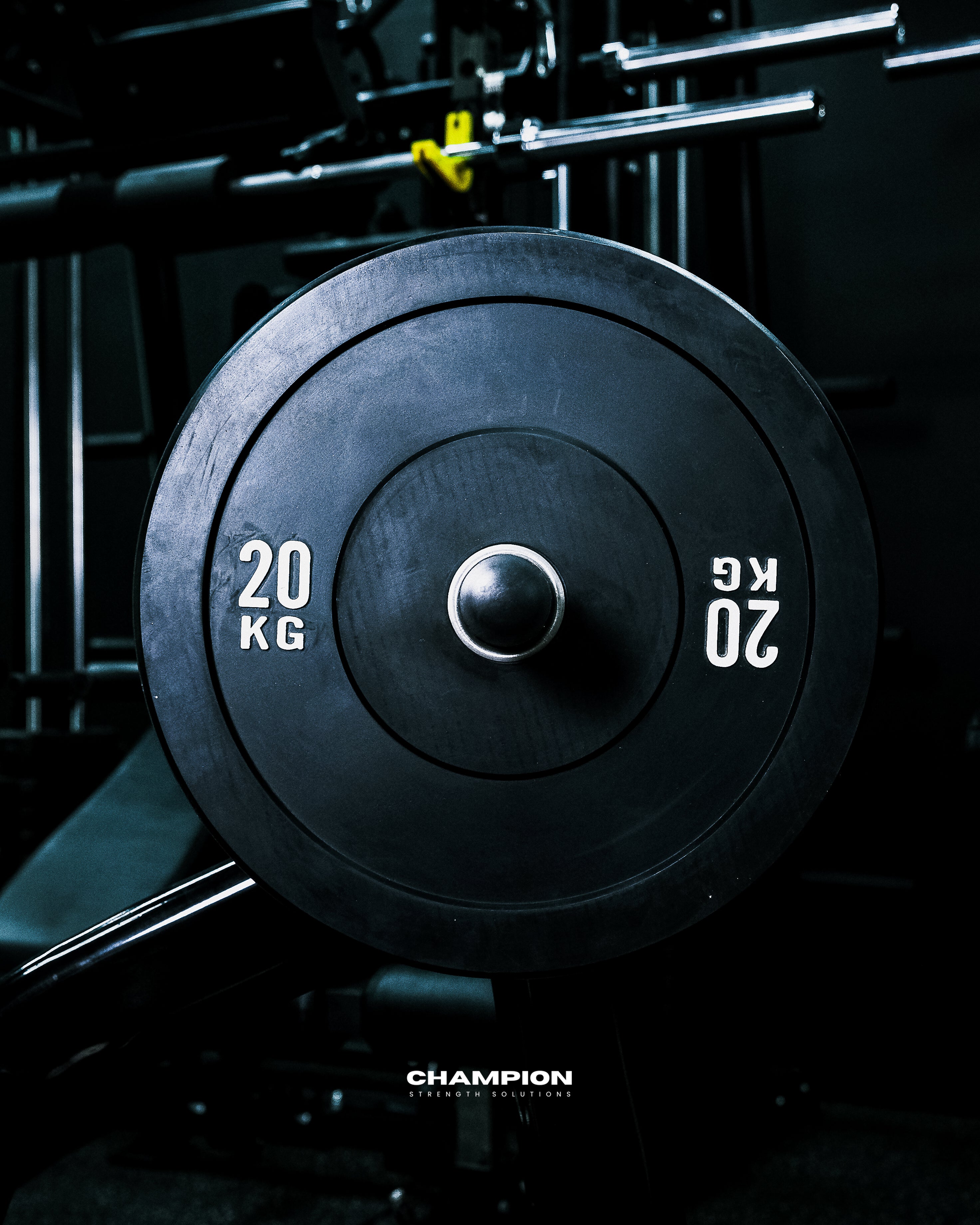 Bumper Plates