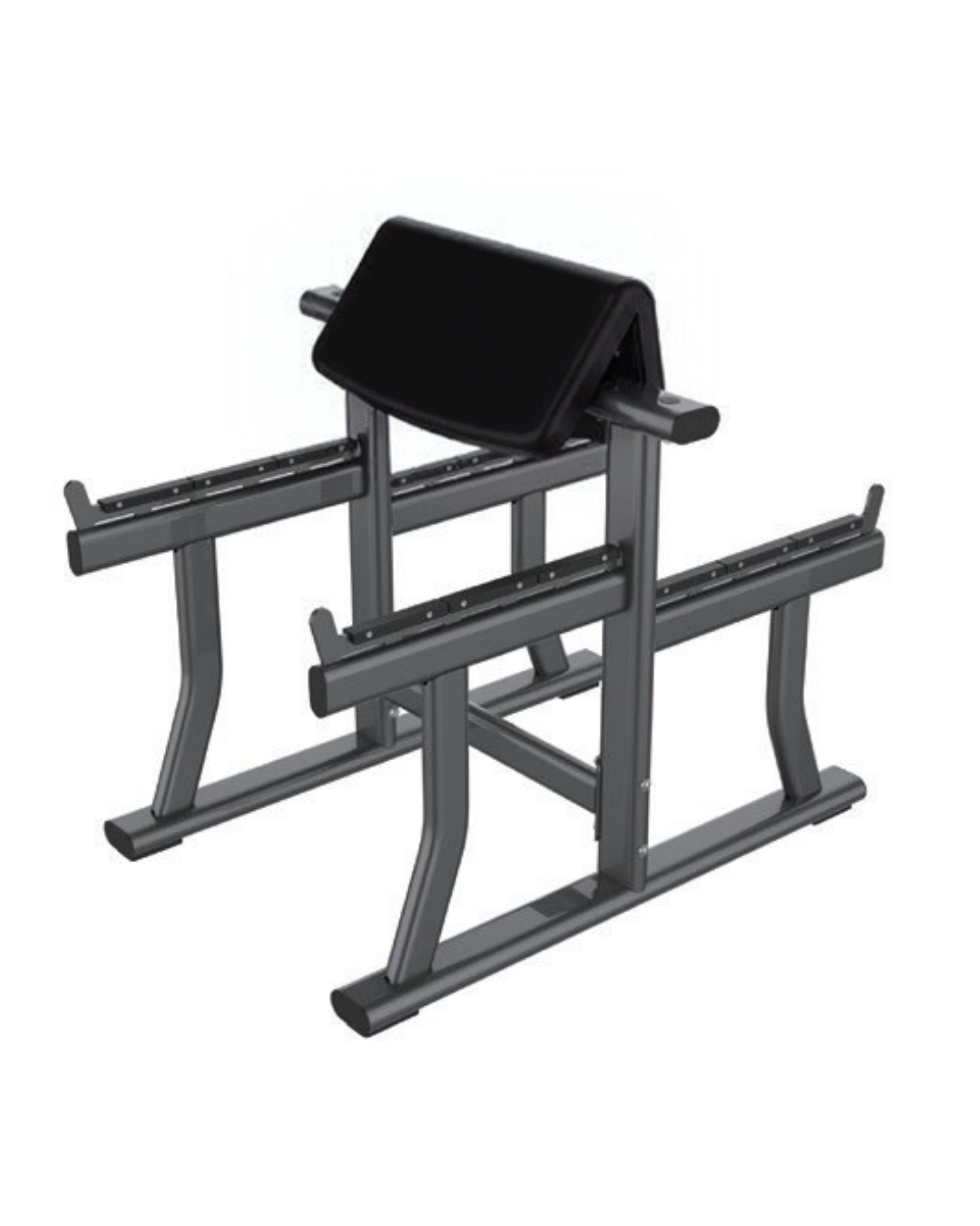 Preacher Curl Bench