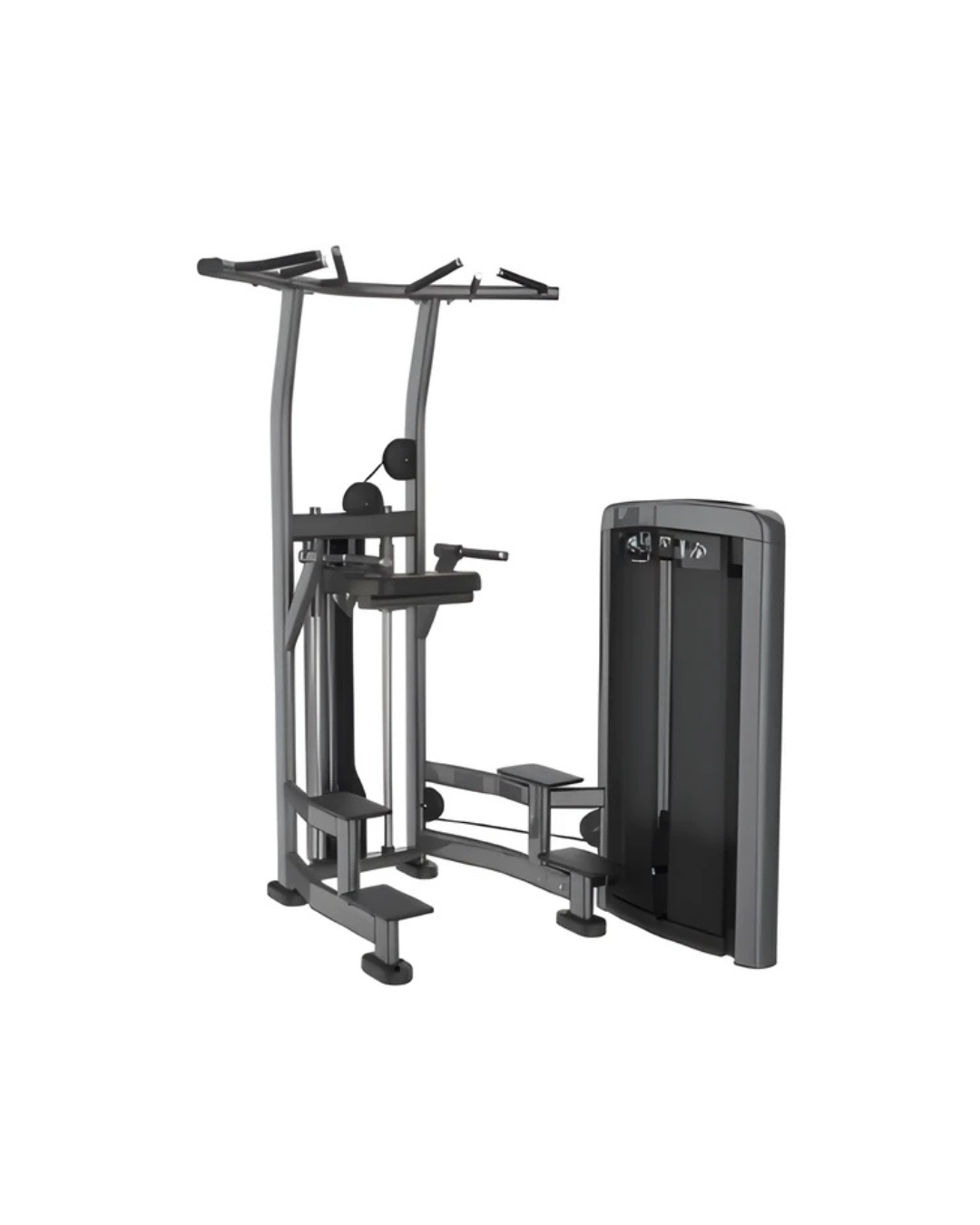 Pull Up / Dip Assist Machine