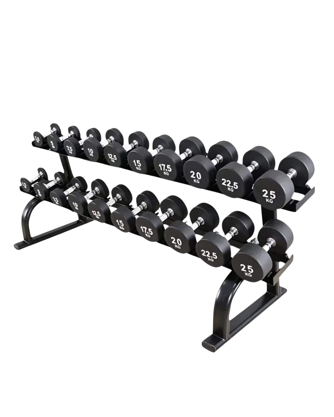 Round Dumbbells with Two-Tier Rack Set-Up