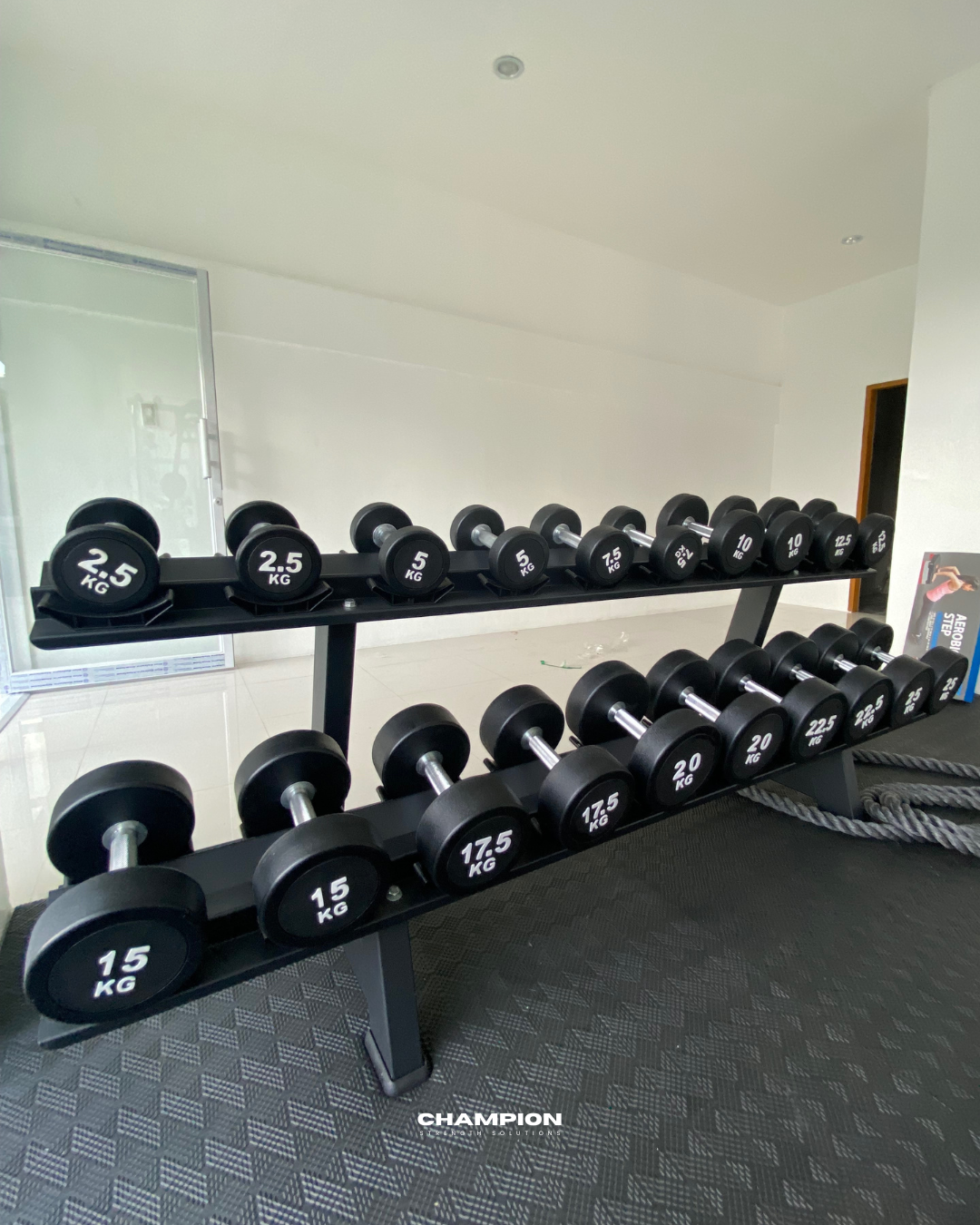 Round Dumbbells with Two-Tier Rack Set-Up