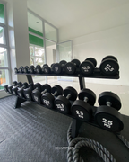 Round Dumbbells with Two-Tier Rack Set-Up