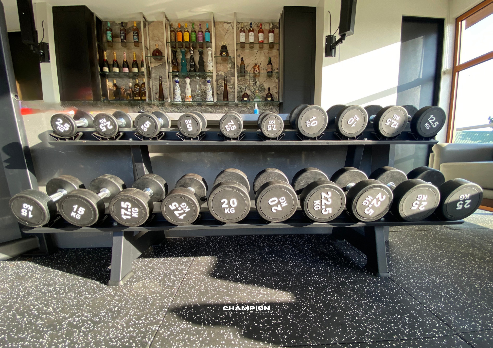 Round Dumbbells with Two-Tier Rack Set-Up